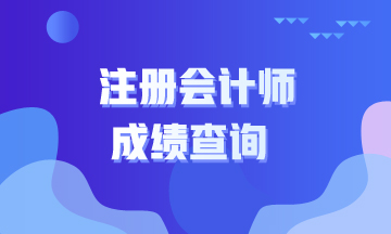 2020注冊會計師考試成績查詢時間