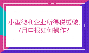 小型微利企業(yè)所得稅緩繳，7月申報(bào)如何操作？看這里！