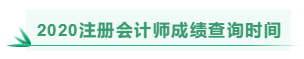 2020注冊(cè)會(huì)計(jì)師成績(jī)查詢(xún)時(shí)間