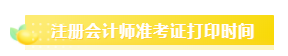 2020注冊會計師準(zhǔn)考證打印時間