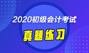 備考2020年初會(huì)考試 《初級(jí)會(huì)計(jì)實(shí)務(wù)》試題怎么能少？