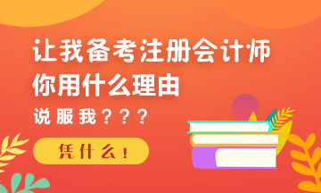 讓我考注冊會計師~你的理由是什么？請你說服我！