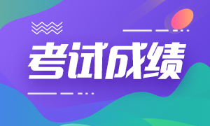 2020云南省注冊(cè)會(huì)計(jì)師成績(jī)查詢時(shí)間是什么時(shí)候？