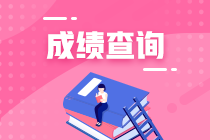 深圳2020年資產(chǎn)評估師成績查詢?nèi)肟谑悄膫€？