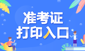 海南省注冊(cè)會(huì)計(jì)師考試準(zhǔn)考證打印是什么時(shí)候？