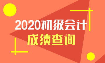 江西省2020年初級(jí)會(huì)計(jì)成績(jī)查詢官網(wǎng)入口是什么？