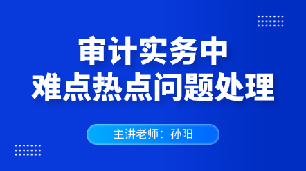 審計(jì)實(shí)務(wù)中難點(diǎn)熱點(diǎn)問題處理