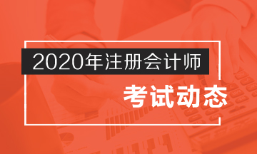 四川省2020年注冊會計師考試時間是什么時候呢？