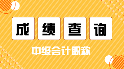 2020安徽池州中級會計師查分什么時候？