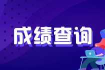 2020年11月基金從業(yè)資格考試成績(jī)查詢官網(wǎng)