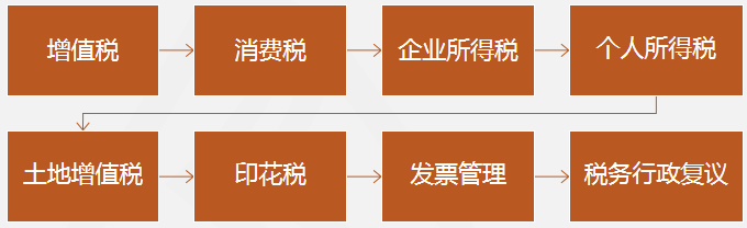 稅務師涉稅服務實務重點