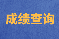 天津2020年資產(chǎn)評估師考試成績查詢時間公布了嗎？