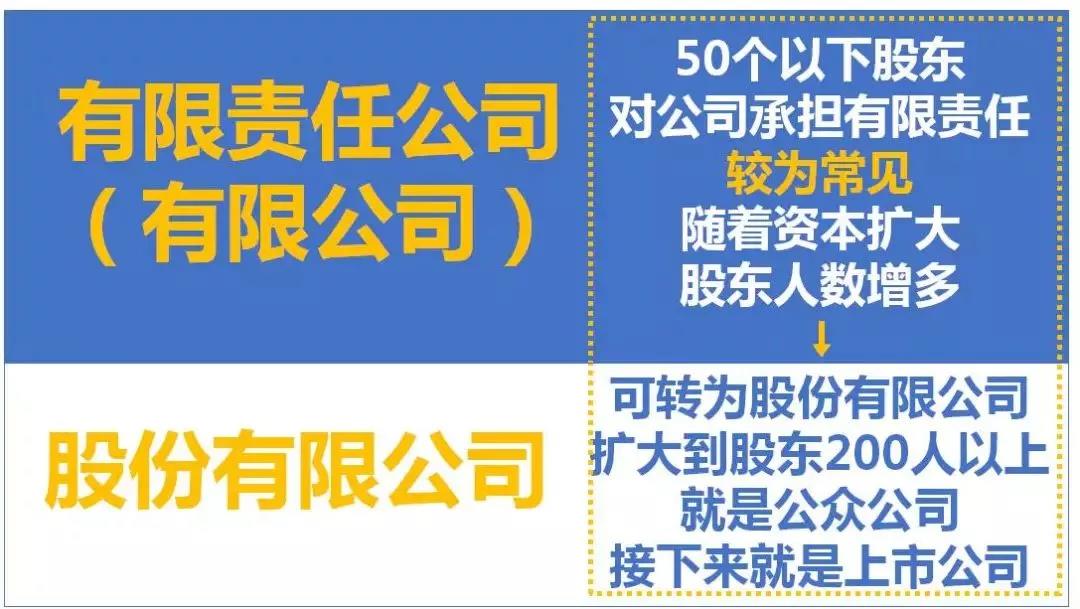 最全總結(jié)！公司、個體戶、分公司、子公司、有限公司有啥區(qū)別？