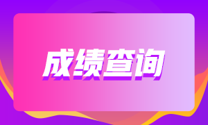 陜西2020年審計師考試成績查詢時間到啦！