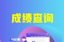 上海中級會計成績查詢?nèi)肟诠倬W(wǎng)2020是什么