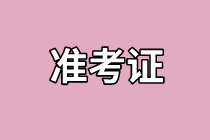 上海審計師準(zhǔn)考證打印