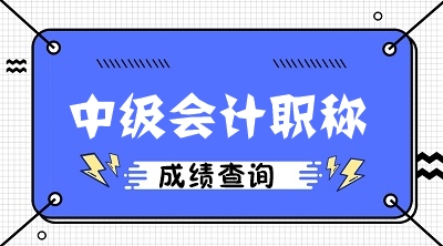 遼寧會(huì)計(jì)中級(jí)成績查詢?nèi)肟诠倬W(wǎng)