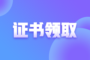 2020年上海會(huì)計(jì)中級(jí)證書在哪里查詢