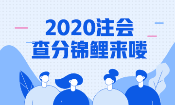 2020年注會成績查詢錦鯉報道！總有一款適合你~