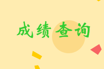 四川眉山中級成績查詢2020入口在哪里？