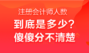 中國注冊會計師行業(yè)全國從業(yè)人員超40萬人？不是二十多萬嗎？