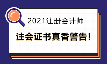 擁有注會證書是多香的一件事?。? suffix=