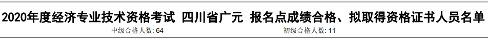 廣元2020年初中級經(jīng)濟(jì)師考試合格人數(shù)