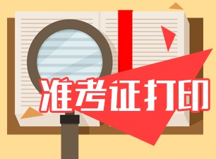 稅務(wù)師考試準考證打印