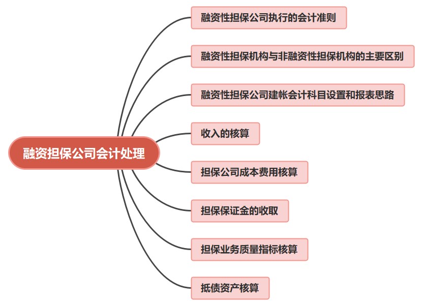 金融公司財(cái)務(wù)人員必看！融資擔(dān)保公司會(huì)計(jì)處理