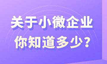 關(guān)于小微企業(yè)，你知道多少？