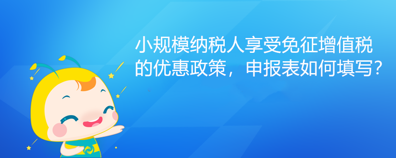 小規(guī)模納稅人享受免征增值稅的優(yōu)惠政策，申報表如何填寫？