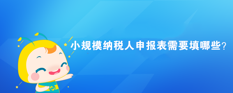 小規(guī)模納稅人申報表需要填哪些？