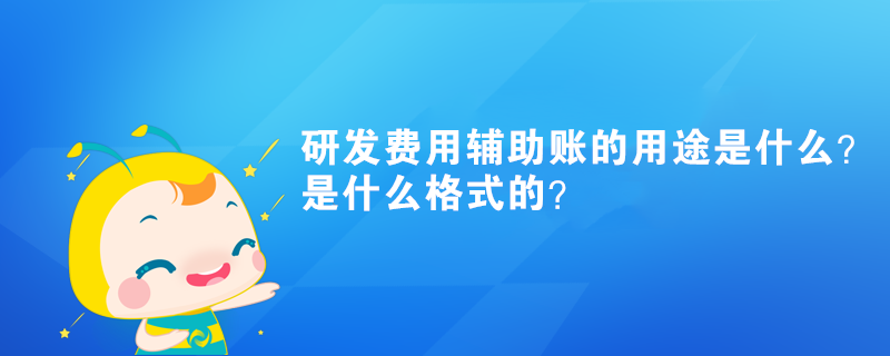 研發(fā)費用輔助賬的用途是什么？是什么格式的？