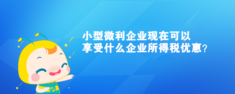 小型微利企業(yè)現(xiàn)在可以享受什么企業(yè)所得稅優(yōu)惠？