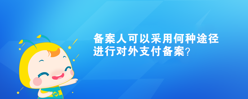 備案人可以采用何種途徑進行對外支付備案？