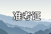 審計(jì)師準(zhǔn)考證打印