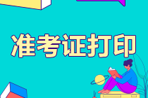 2021年延考地區(qū)注會(huì)準(zhǔn)考證打印入口9月10日開通！