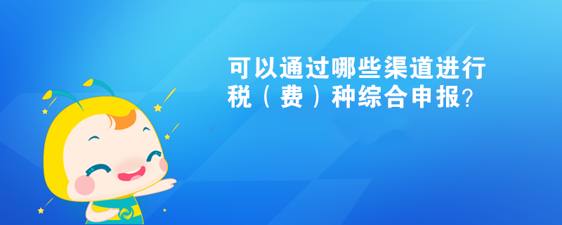 可以通過(guò)哪些渠道進(jìn)行稅（費(fèi)）種綜合申報(bào)？