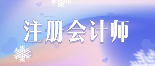 2022年注冊會計(jì)師考試《審計(jì)》練習(xí)題精選匯總