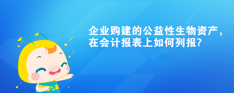 企業(yè)購建的公益性生物資產(chǎn)，在會(huì)計(jì)報(bào)表上如何列報(bào)?