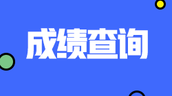 四川注會查分入口將于11月開通！