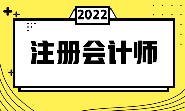 西藏注冊(cè)會(huì)計(jì)師考試考什么？考生速看！