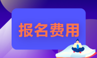 湖南省2022年的初級(jí)會(huì)計(jì)師報(bào)名費(fèi)多少錢？