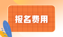 海南省2022年初級(jí)會(huì)計(jì)報(bào)名費(fèi)是多少錢？