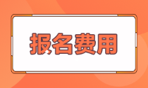 貴州省初級(jí)會(huì)計(jì)職稱2021年報(bào)名費(fèi)多少？