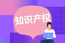 知識產(chǎn)權