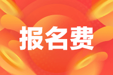 2022年初級會計考試阿壩州的收費標準是什么？