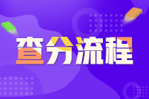 證券從業(yè)資格考試查分流程？