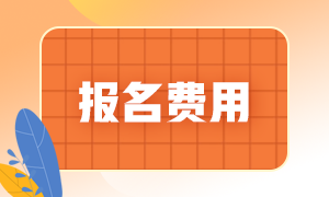 cpa考試報(bào)名的收費(fèi)標(biāo)準(zhǔn)是什么？