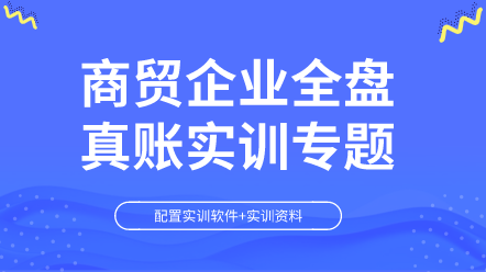 商貿(mào)企業(yè)全盤真賬實訓專題